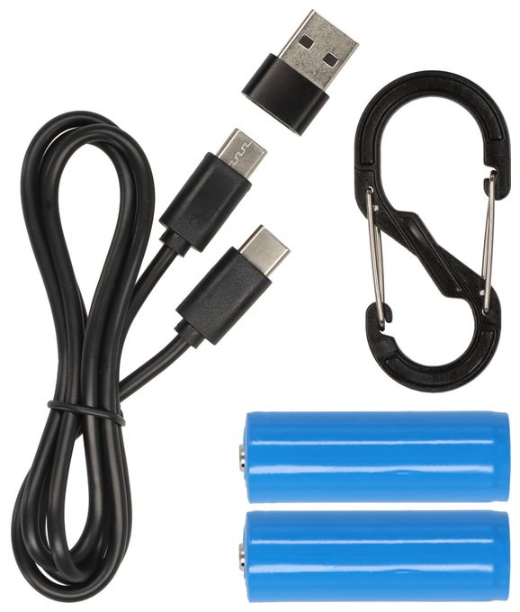 LED Wandbeleuchtung für den Außenbereich Weiß Batterie/Akku 1173740004 