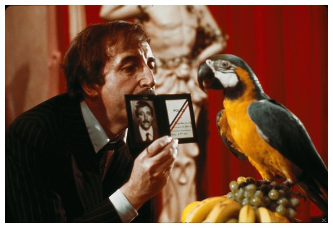 Der rosarote Panther – Peter Sellers Collection (DVD) 