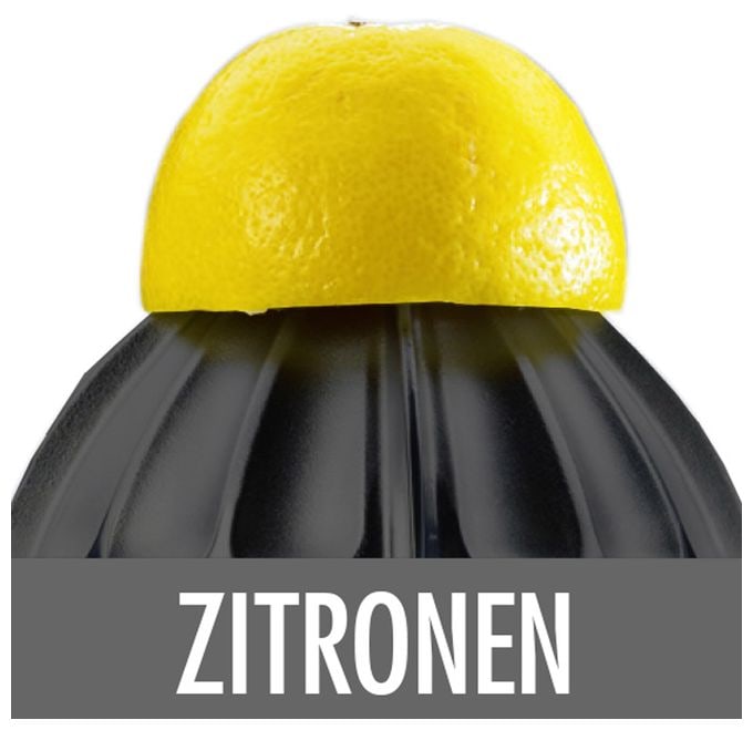 100 W  41138 Home Culture Zitruspresse (Schwarz, Edelstahl) 