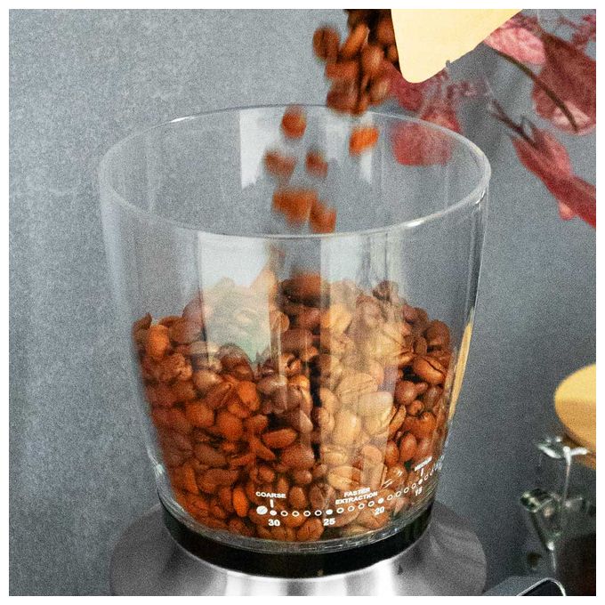 Kaffeemühle für 300 g 150 W (Schwarz, Transparent) 42644 Pro Touch 30 