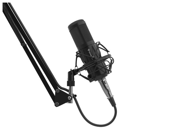 Kabelgebunden Studio-Mikrofon  Radium 300 XLR (Schwarz) 
