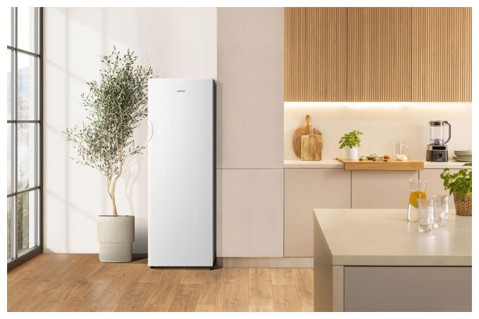 194 l Gefrierschrank 219 kWh Jahr NoFrost  FN4172CW (Weiß) 
