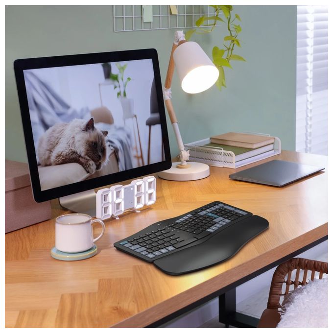 Heimbüro Tastatur RF Wireless + Bluetooth 2.4 GHz (Schwarz, Blau, Dunkles Grau) 173071 WK-900 Ergo 