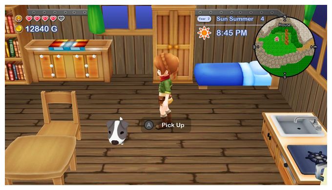 Harvest Moon The Lost Valley & Skytree Village (Nintendo Switch) 