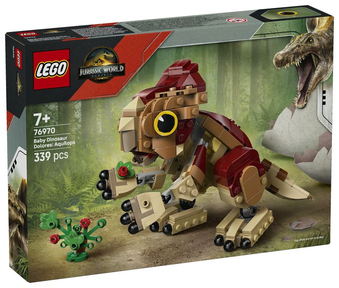 Babydinosaurier Dolores: Aquilops 