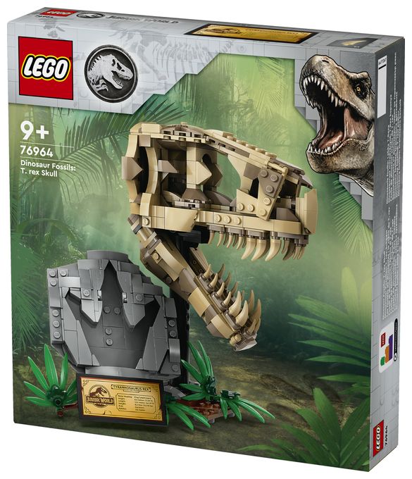 Dinosaurier-Fossilien: T.-rex-Kopf 