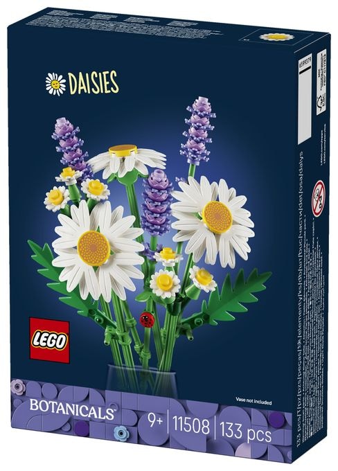 Gänseblümchen 