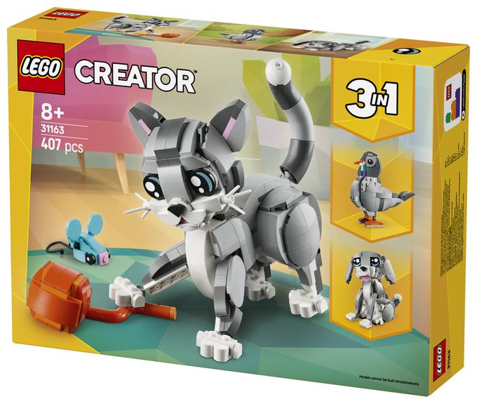 Graue Katze 