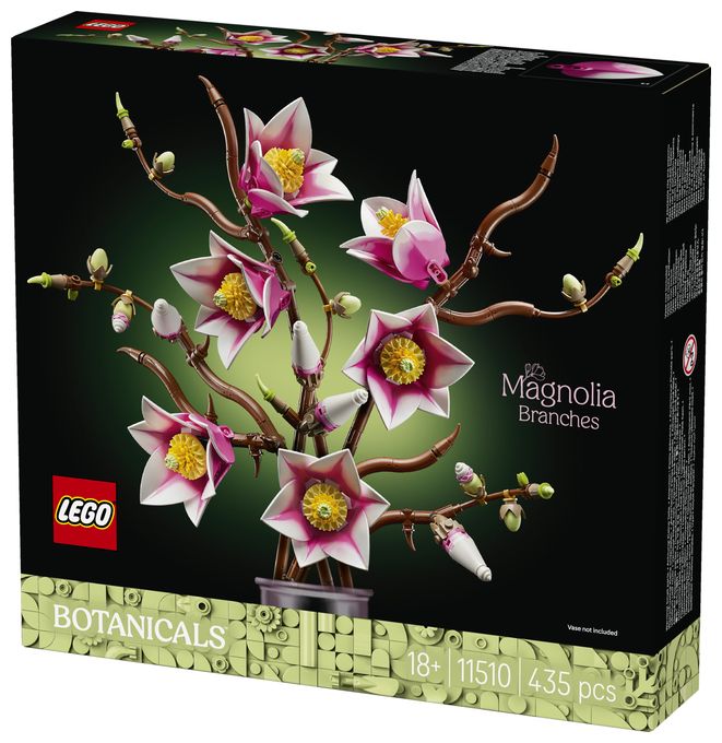 Magnolienzweige 