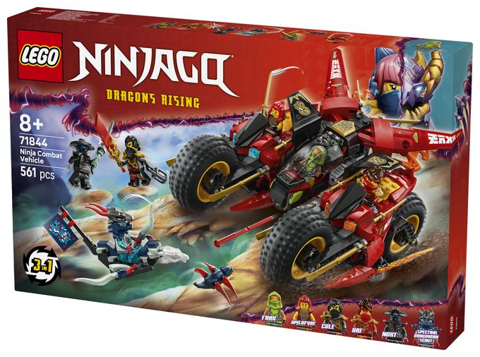 Ninja-Actionflitzer 