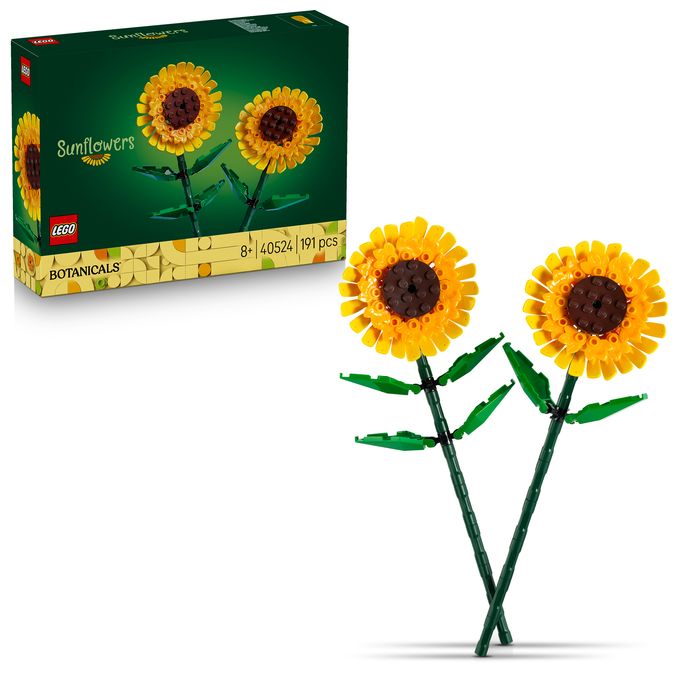 Sonnenblumen 