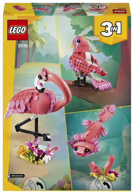 Wilde Tiere: Rosa Flamingo 