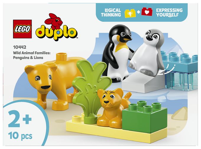 Wildtier-Familien: Pinguine und Löwen 
