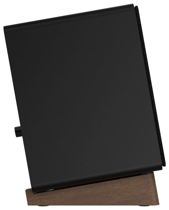 50 W Bluetooth Lautsprecher  GX-30ARC (Schwarz) 