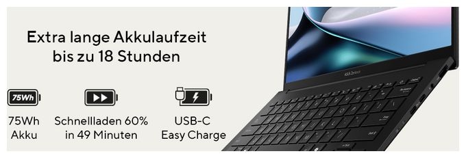 WUXGA Notebook 35,6 cm (14 Zoll) 1920 x 1200 Pixel 512 GB SSD Windows 11 Home AMD Ryzen 5 max. 4,8 GHz  Zenbook UM3406KA-QD041W (Schwarz) 