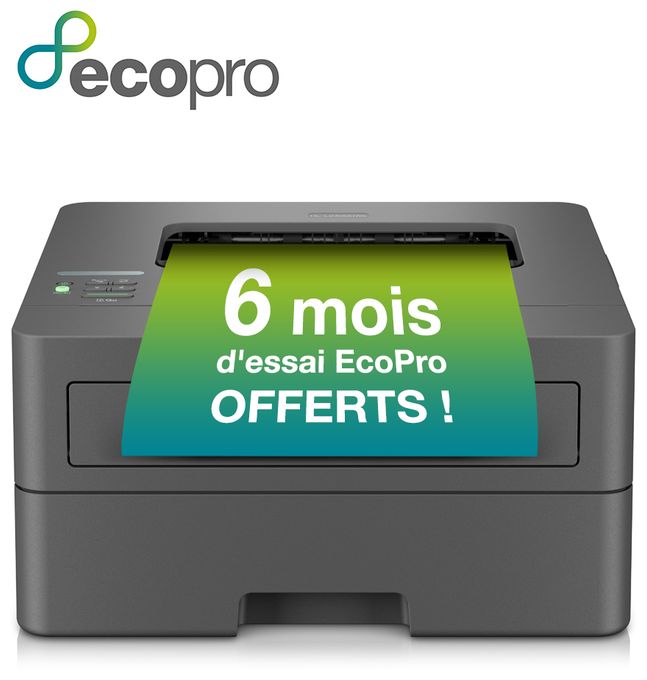 A4 Laser Drucker 1200 x 1200 DPI 30 Seiten pro Minute HL-L2400DWE 