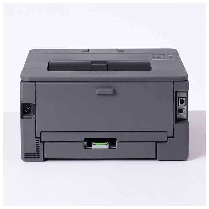 HL-L2445DW 