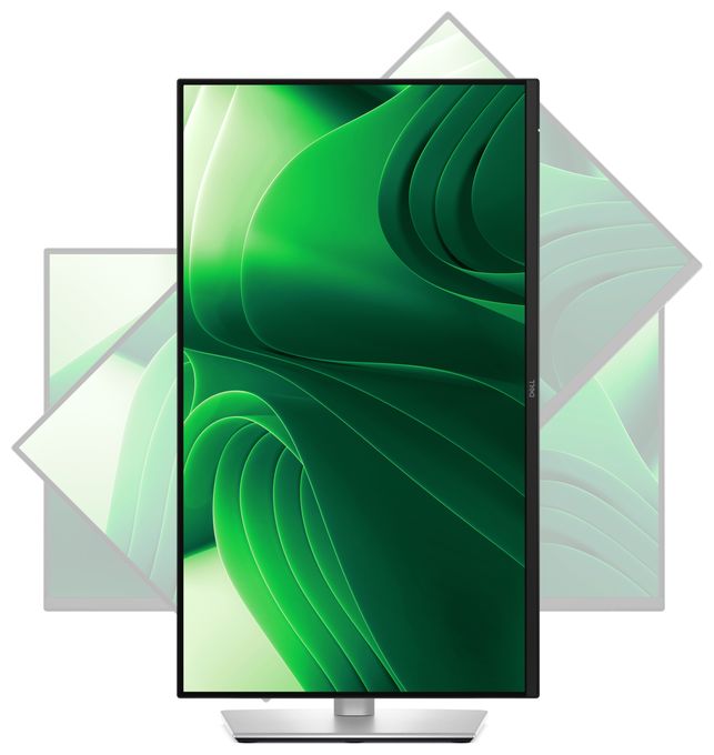 Quad HD Monitor 61 cm (24 Zoll) 16:9 8 ms 350 cd/m²  P2425D (Schwarz, Silber) 