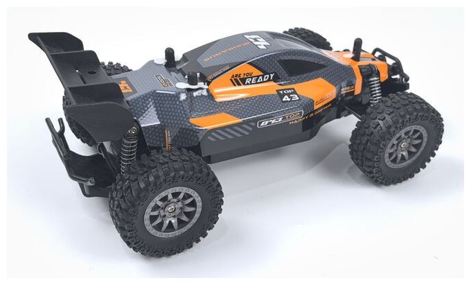 Rookie Fighter Buggy 