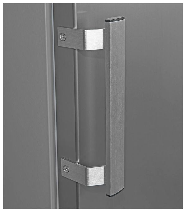 161 l Gefrierschrank 132 kWh Jahr NoFrost  GS231-NF-H-040C (Edelstahl) 