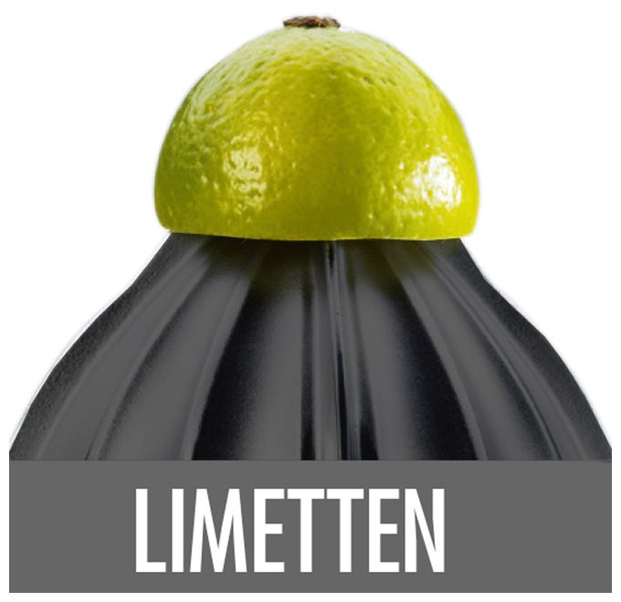 100 W  41138 Home Culture Zitruspresse (Schwarz, Edelstahl) 