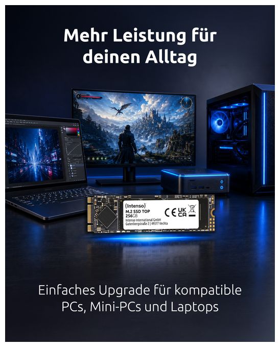 256 GB SSD Serial ATA III M.2  Top (Anthrazit) 