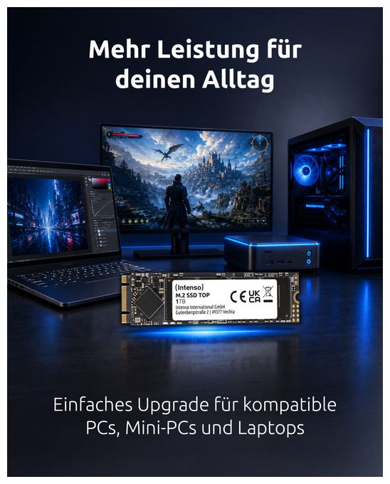 1 TB SSD Serial ATA III M.2 Top 