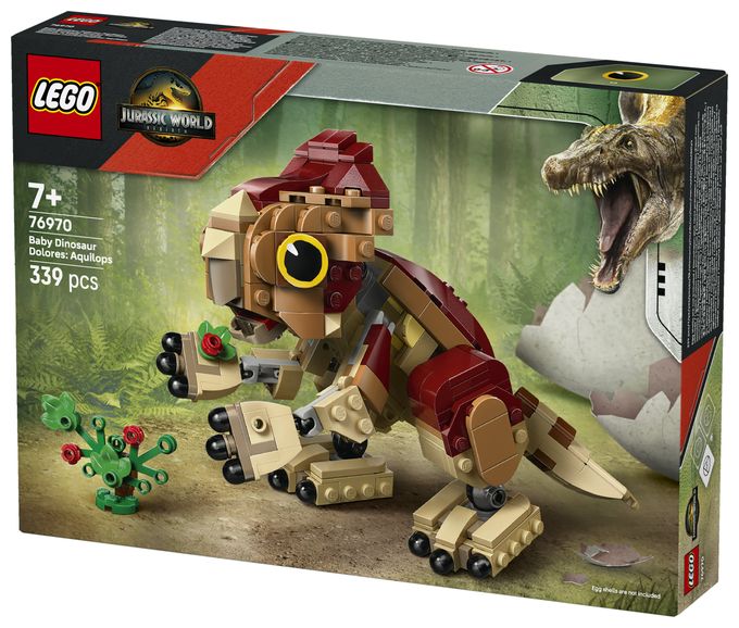 Babydinosaurier Dolores: Aquilops 
