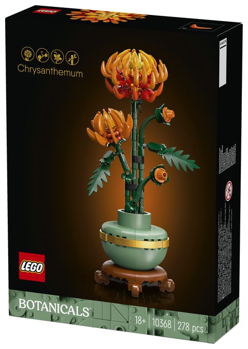 Chrysantheme 