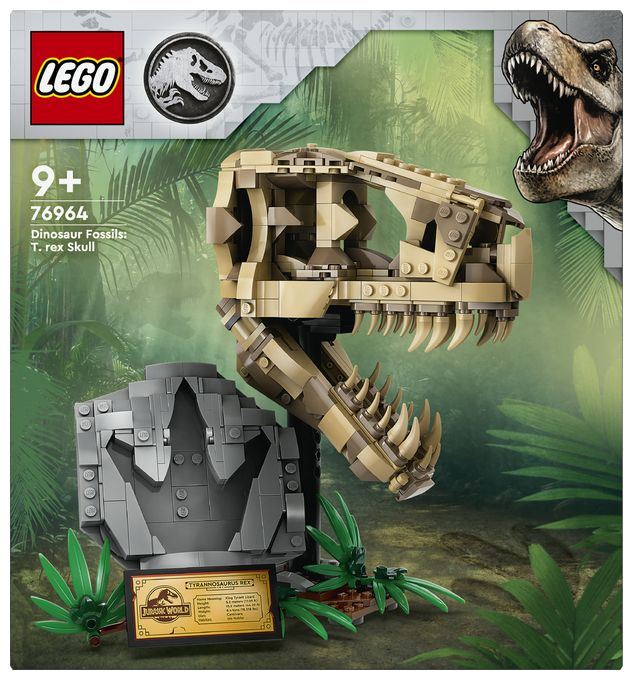 Dinosaurier-Fossilien: T.-rex-Kopf 
