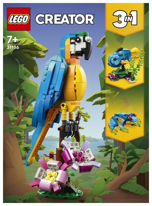 Exotischer Papagei 
