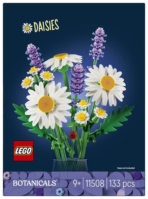 Gänseblümchen 