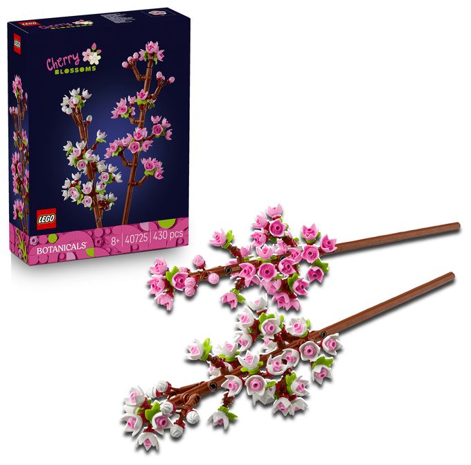 Kirschblüten 