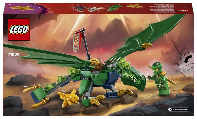 Lloyds grüner Walddrache 