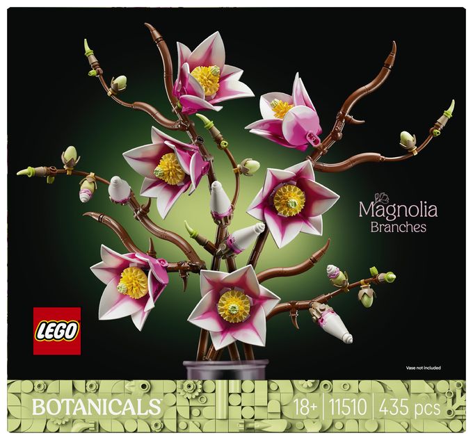 Magnolienzweige 