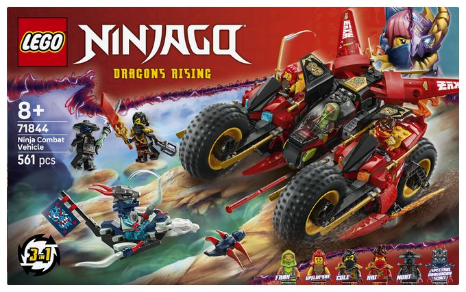 Ninja-Actionflitzer 