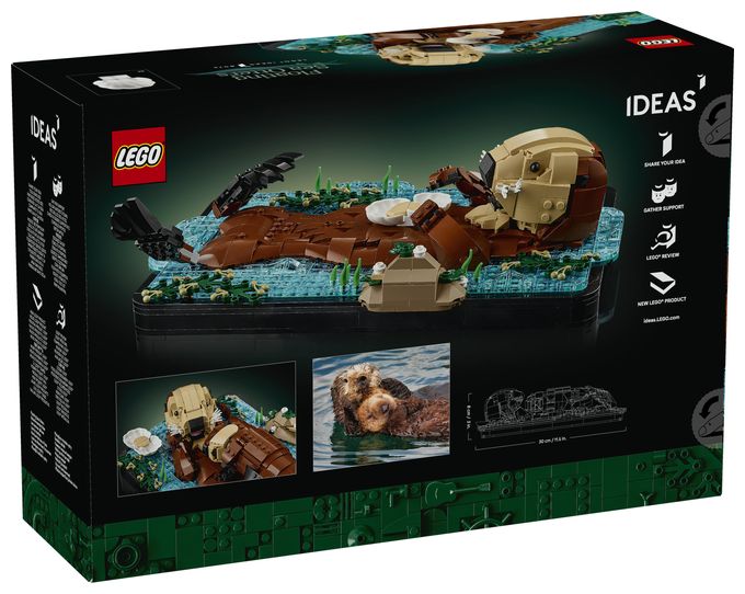 Schwimmende Otter 