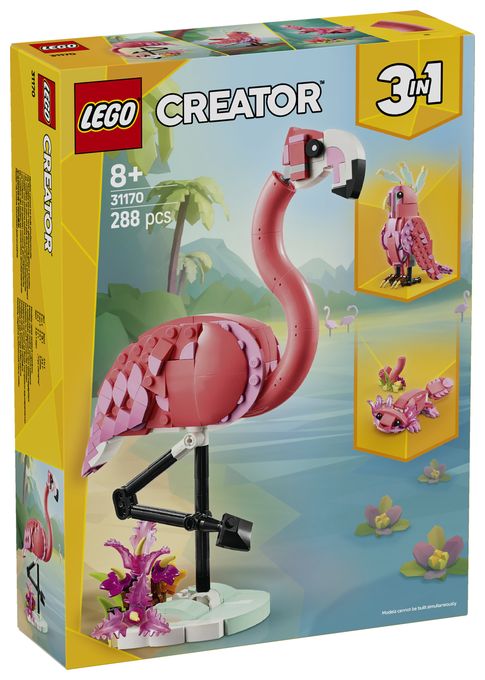 Wilde Tiere: Rosa Flamingo 