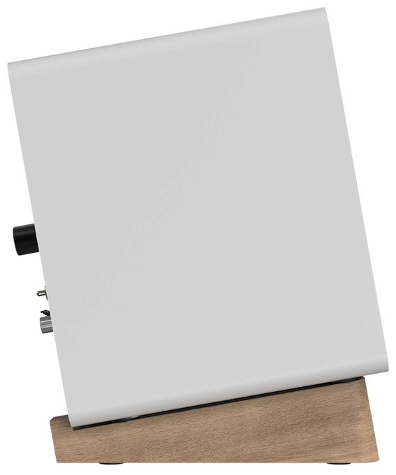 30 W Bluetooth Lautsprecher  GX-10DB (Grau, Weiß) 