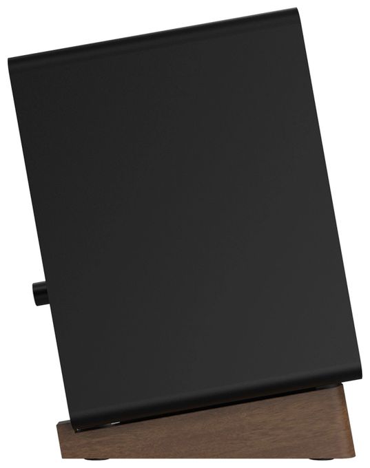 50 W Bluetooth Lautsprecher  GX-30ARC (Schwarz) 