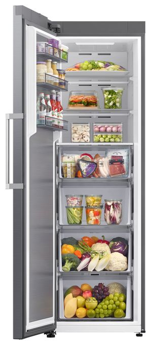 323 l Gefrierschrank 210 kWh Jahr NoFrost  RZ70H32HDTEF (Silber) 