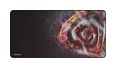 Thumbnail1