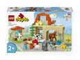 Thumbnail1