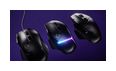 Thumbnail1