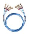 Thumbnail1