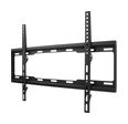 Thumbnail1