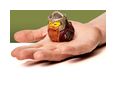 Thumbnail1
