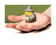 Thumbnail1