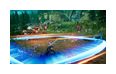 Thumbnail10