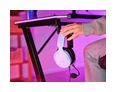 Thumbnail10